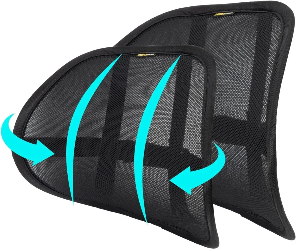 SANHSEHOME 2 Pack Lumbar Support Adjustable Straps Back Cushion for Office Chair Double Layer Breathable Mesh Back Support Ergonomic Car Lumbar Support for Driving Seat