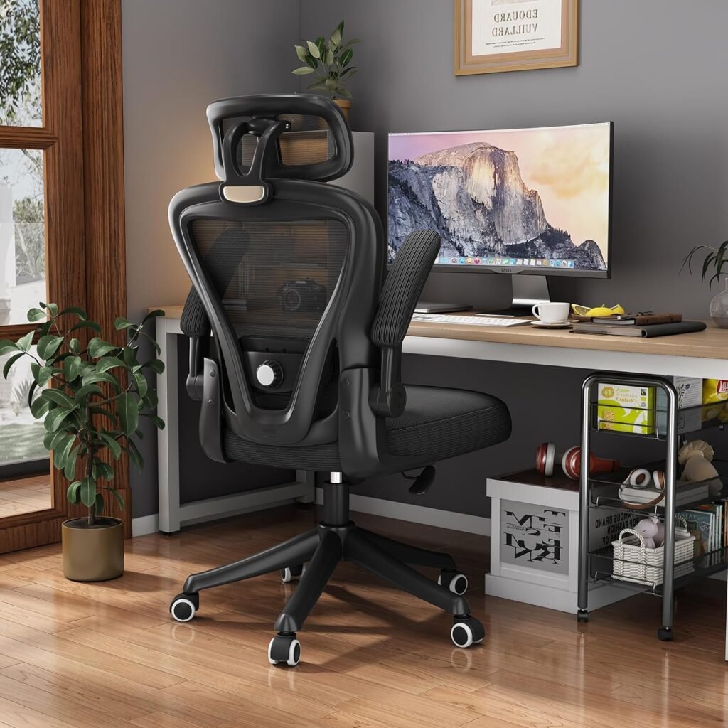 SeekFancy Ergonomic Office Chair, High Back Mesh Desk Chair with Adjustable Lumbar Support and Headrest, Black Computer Gaming Chair, Executive Swivel Chair for Home Office