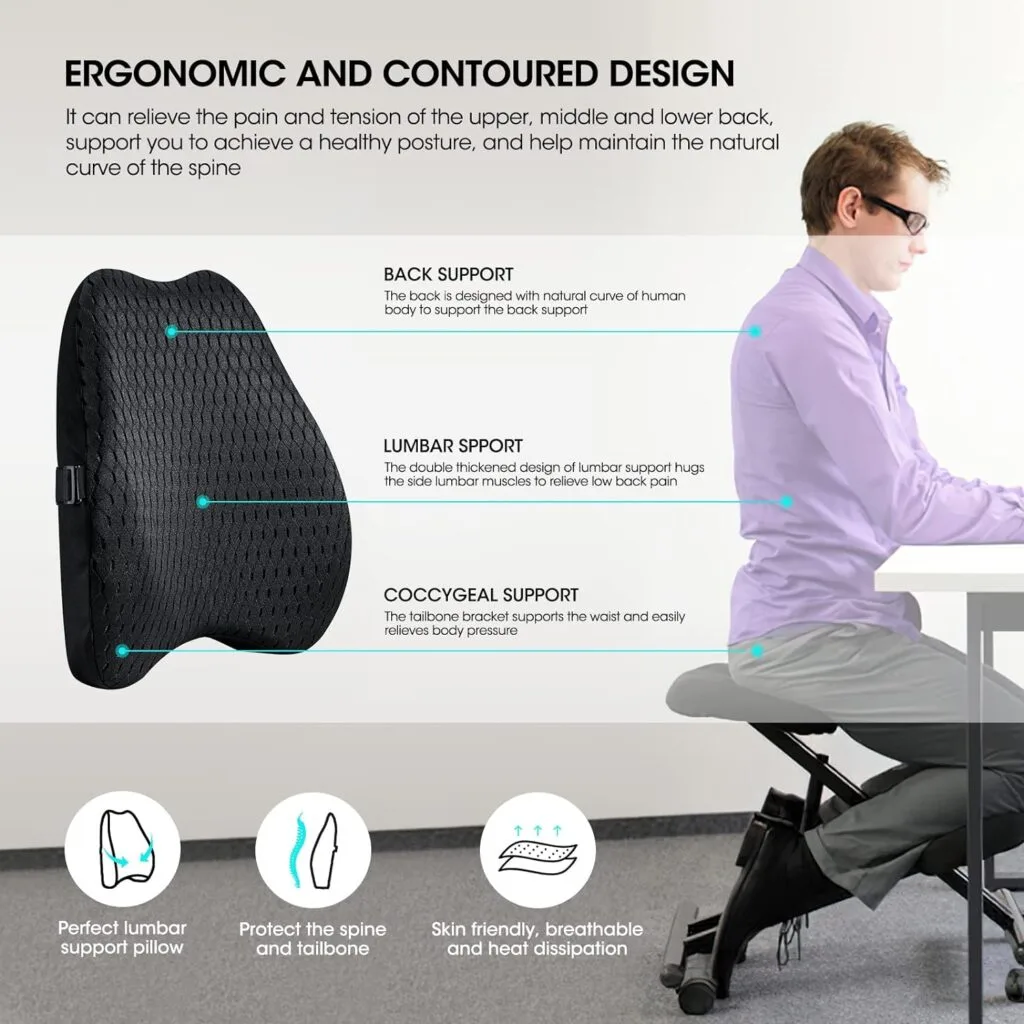 Bipintip Lumbar Support Office Chair with Adjustable Strap and Washable Cover - Back Cushion for Couch,Recliner,Car,Desk Chair - Lumbar Pillow Back Pain Relief,Improve Posture(Black) Bipintip Lumbar Support Office Chair with Adjustable Strap and Washable Cover - Back Cushion for Couch,Recliner,Car,Desk Chair - Lumbar Pillow Back Pain Relief,Improve Posture(Black)